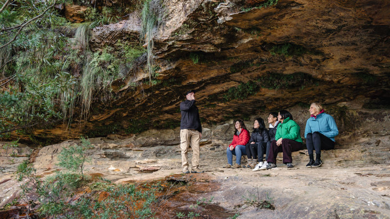 Small Group Blue Mountains Wildlife & Bushwalk Tour from Sydney - Extra lookouts and lunch in the mountains