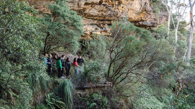 Small Group Blue Mountains Wildlife & Bushwalk Tour from Sydney - Group size, guiding and the pace of the day