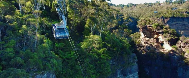 Small Group Blue Mountains, Wildlife & Scenic World Day Tour - Scenic World Adventure