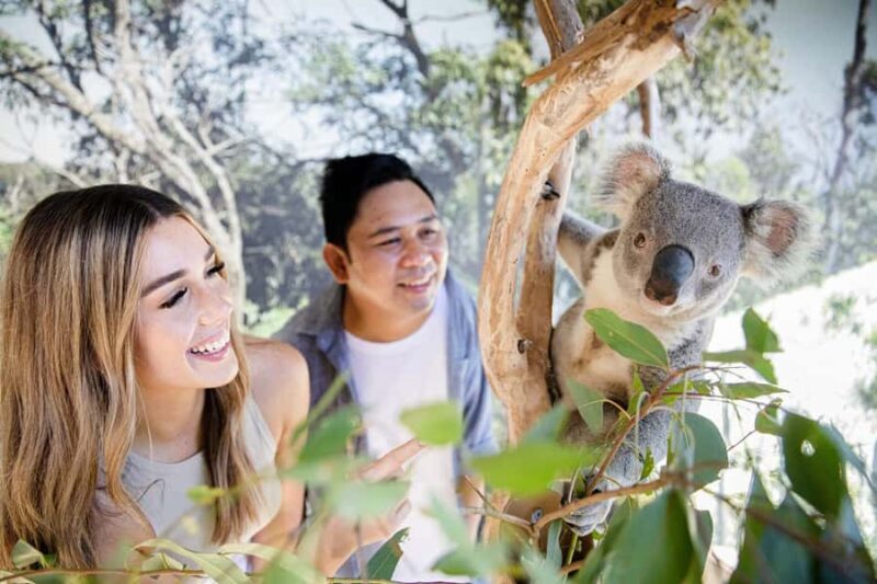 Small Group Blue Mountains, Wildlife & Scenic World Day Tour - FAQ