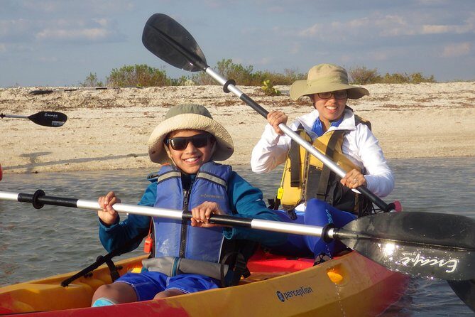 Small Group Boat, Kayak and Walking Guided Eco Tour Everglades - Good To Know