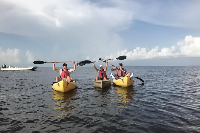 Small Group Boat, Kayak and Walking Guided Eco Tour in Everglades National Park - Overview and Activities