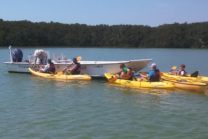 Small Group Boat, Kayak and Walking Guided Eco Tour in Everglades National Park - Tour Details and Experience