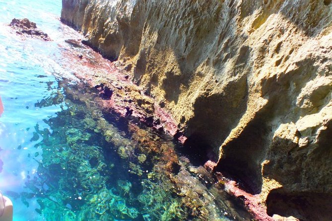 Small Group Boat Tour of Ortigia With Visits to the Caves and Swimming  - Sicily - Cancel 24H Pr - Traveler Photos and Reviews
