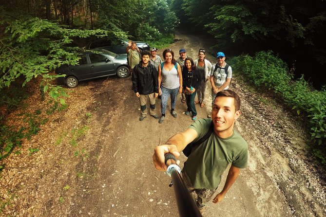 Small-Group Brown Bear-Watching Experience From Brasov - Cancellation Policy and Reviews