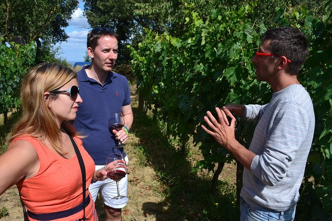 Small-Group Brunello Wine Tour of Montalcino From Florence - How to Book the Tour