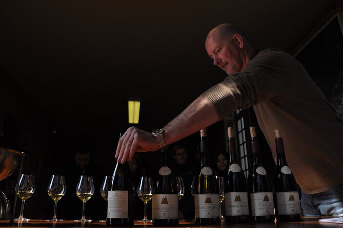 Small Group Burgundy Tour of Beaune With Wine Tasting From Dijon - Tour Overview