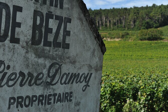 Small Group Burgundy Tour of Beaune With Wine Tasting From Dijon - Activities Included