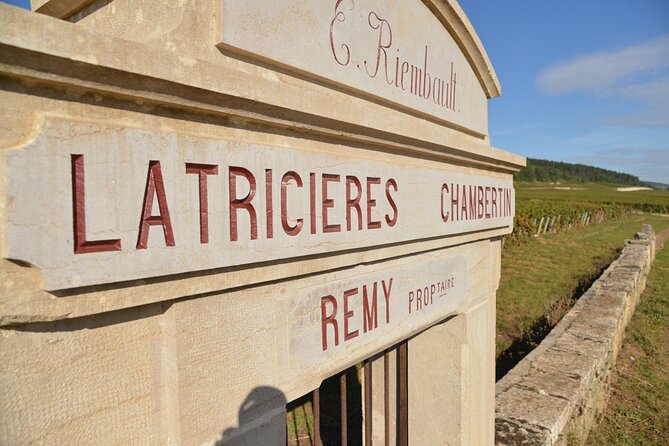 Small-Group Burgundy Tour With Wine Tastings From Dijon - Host Responses and Interactions