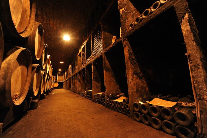 Small-Group Burgundy Tour With Wine Tastings From Dijon - Viator Information and Terms