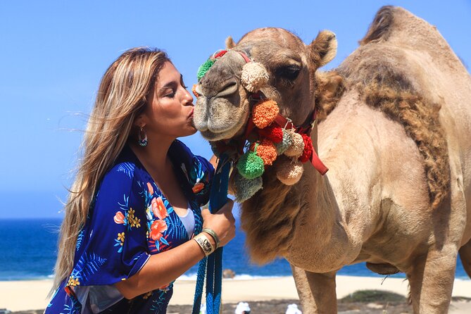 Small-Group Camel Riding on the Beach in Cabo San Lucas  - San Jose Del Cabo - Overview and Logistics