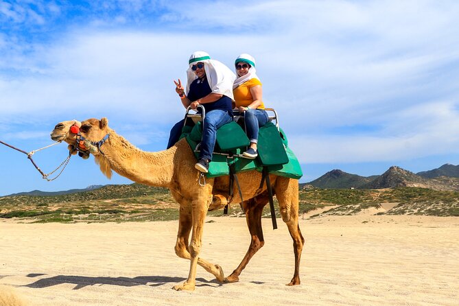 Small-Group Camel Riding on the Beach in Cabo San Lucas  - San Jose Del Cabo - Cancellation Policy