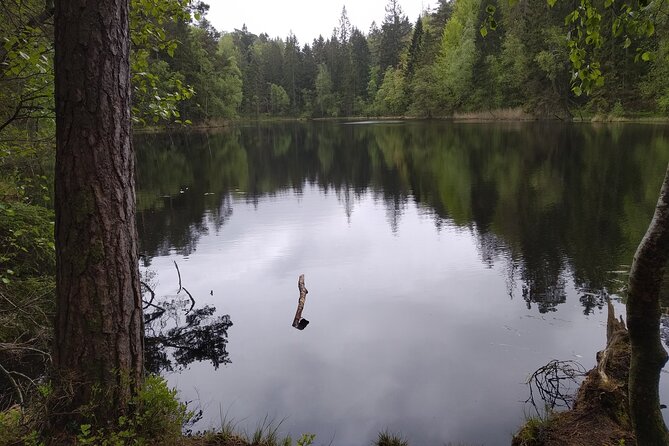Small Group Camping in a Windshield/Shelter in the Countryside Near Halmstad - Group Size and Experience