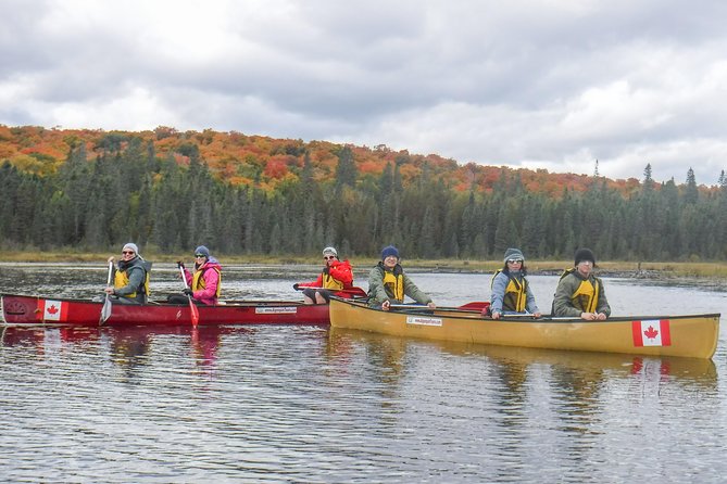 Small-Group Canoeing Tour of Algonquin Provincial Park  - Ontario - Traveler Photos and Reviews