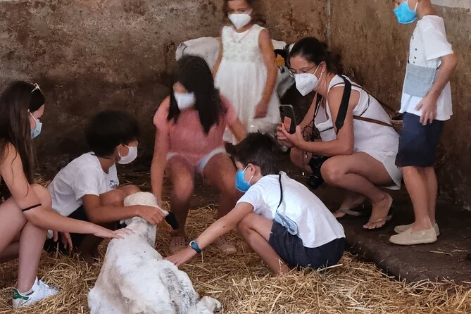 Small Group Cheese Making and Tasting From the Island of Baleares - Additional Information