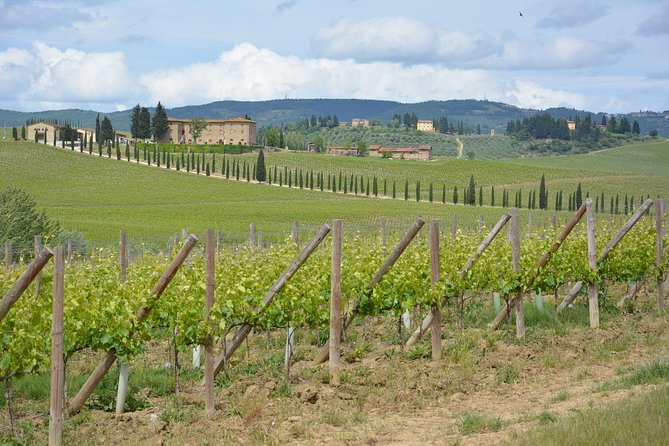 SMALL GROUP Chianti 2 Wineries & Lunch (Max 8 People) - Cancellation Policy
