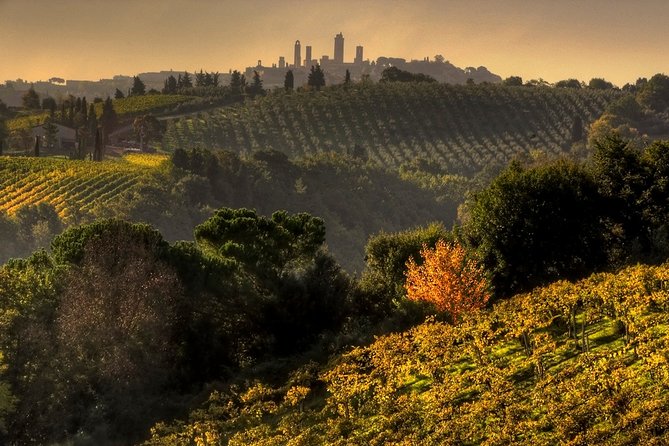 Small-Group Chianti and San Gimignano Sunset Trip From Siena - Tour Highlights