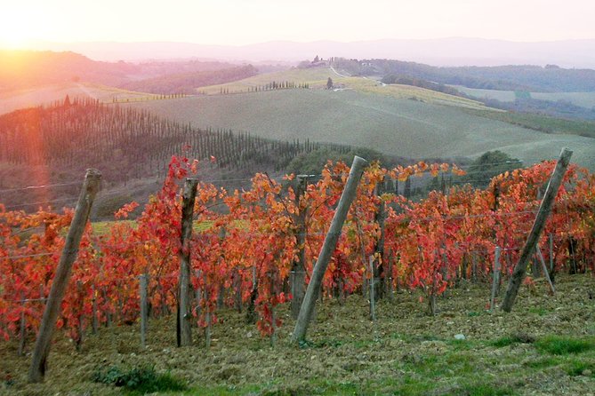 Small-Group Chianti and San Gimignano Sunset Trip From Siena - Mixed Experiences