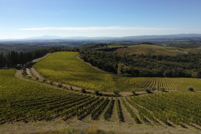 Small-Group Chianti Trip With Wine Tasting From Siena - Excellent Tour Experience