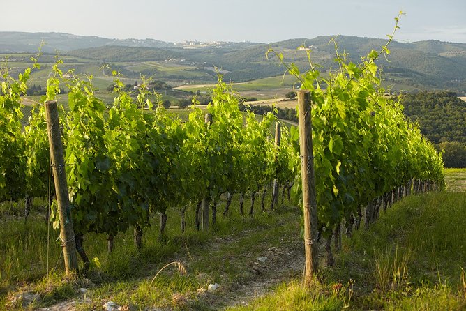 Small-Group Chianti Trip With Wine Tasting From Siena - Cancellation Policy and Practical Information