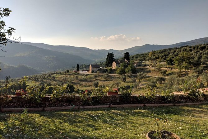 Small Group Chianti Wine Tasting With Seven Tuscan Wines - Tuscan Lunch Pairing