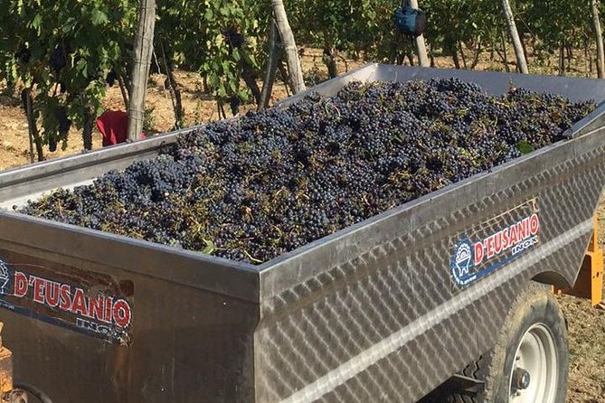 Small Group Chianti Wine Tasting With Seven Tuscan Wines - Cancellation Policy and Weather Contingency