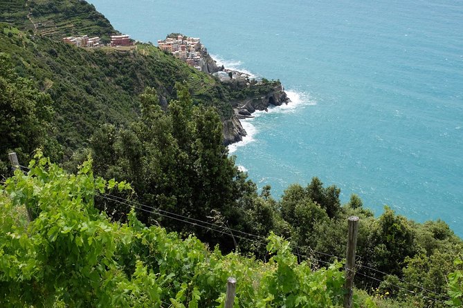 Small-Group Cinque Terre Discovery With Seafood Lunch - Reviews and Ratings