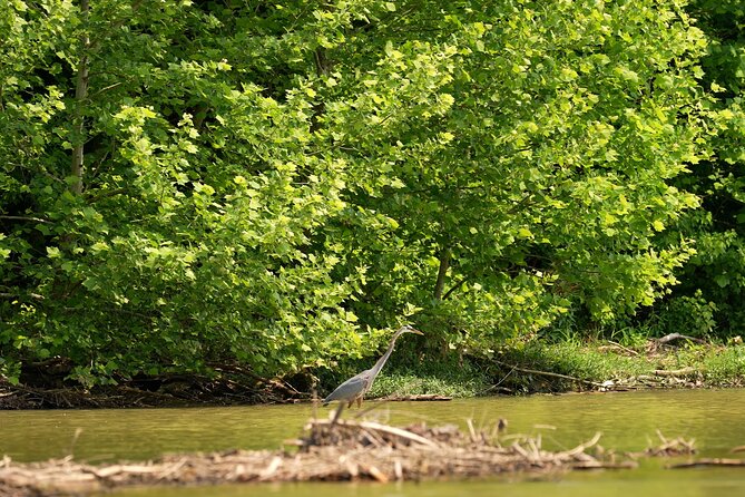 Small Group Clear Kayak Tour of Old Hickory Lake - Reviews