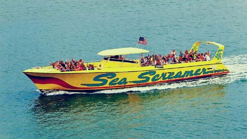 Small Group Clearwater Beach,Dolphin Watch Tour from Orlando - An In-Depth Look at the Tour Experience