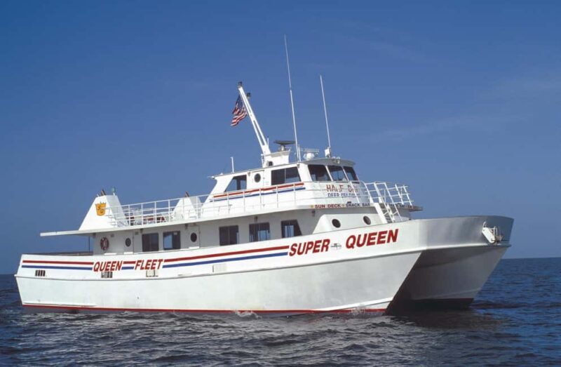 Small Group Clearwater Beach,Dolphin Watch Tour from Orlando - Who Will Love This Tour?