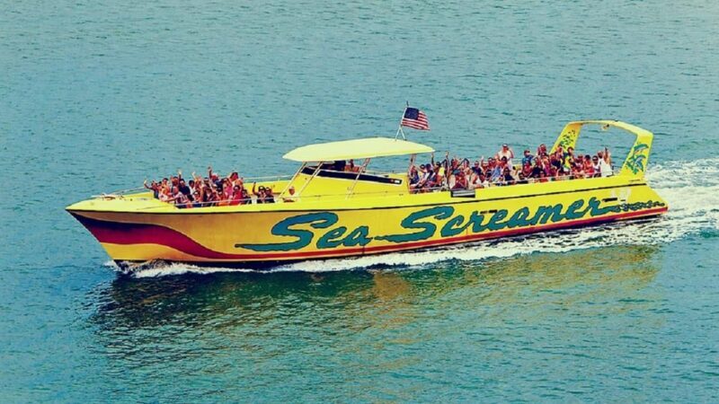 Small Group Clearwater Beach,Dolphin Watch Tour from Orlando - FAQ