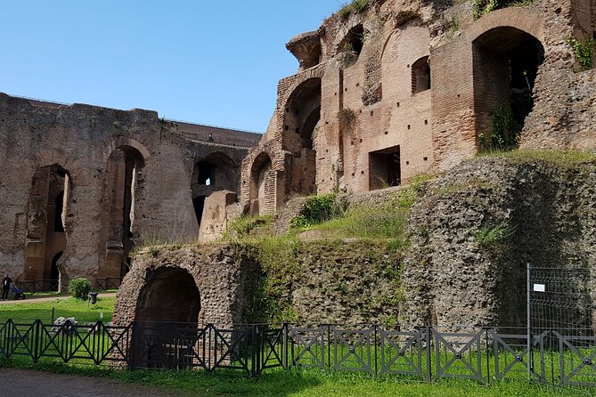 Small Group Colosseum Arena Floor Roman Forum and Palatine Hill - Traveler Photos and Testimonials