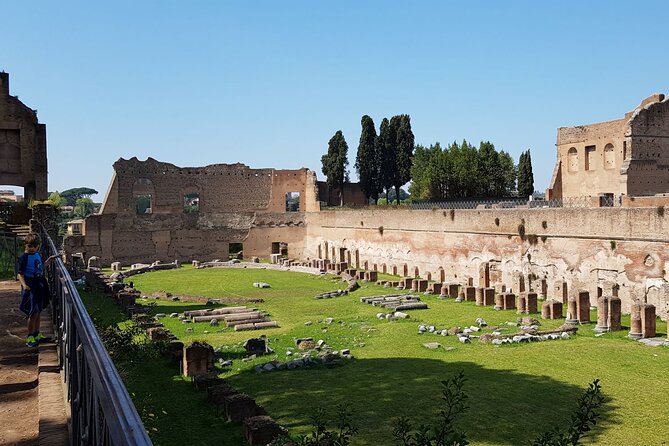 Small Group Colosseum Arena Floor Roman Forum and Palatine Hill - The Sum Up