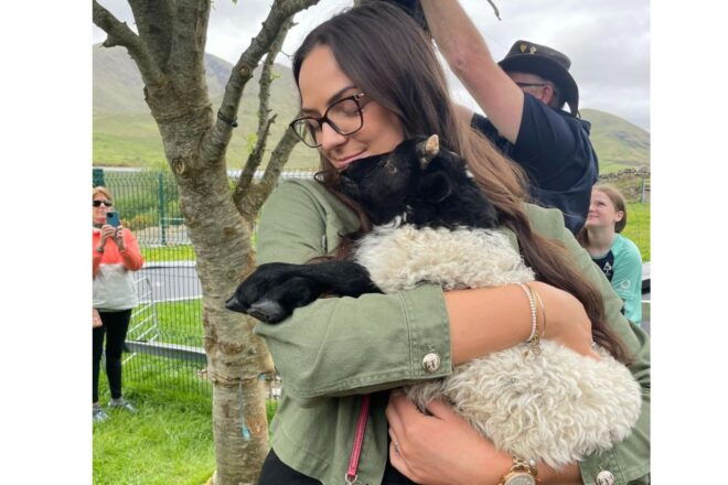 Small Group: Connemara, Sheepdog Show & Medieval Castle Tour - Connemara and Leenane