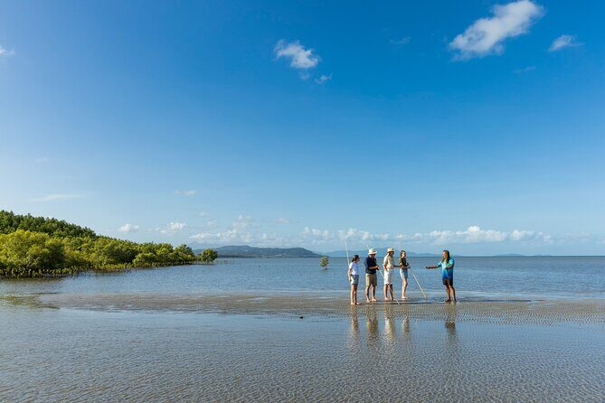 Small Group Daintree Rainforest and Aboriginal Coastal Adventure - Good To Know