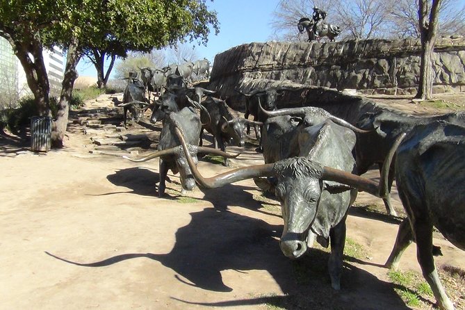 Small-Group Dallas and Fort Worth City Sightseeing Tour - Meet Our Tour Guides