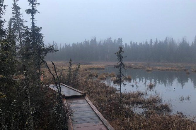 Small-Group Day Hike, Rivers and Forests of Chugach State Park  - Anchorage - Overview and Details