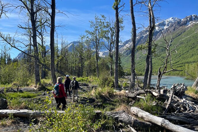 Small-Group Day Hike, Rivers and Forests of Chugach State Park  - Anchorage - Meeting and Pickup