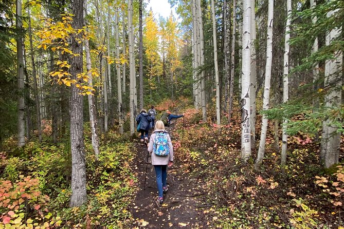 Small-Group Day Hike, Rivers and Forests of Chugach State Park  - Anchorage - Positive Reviews