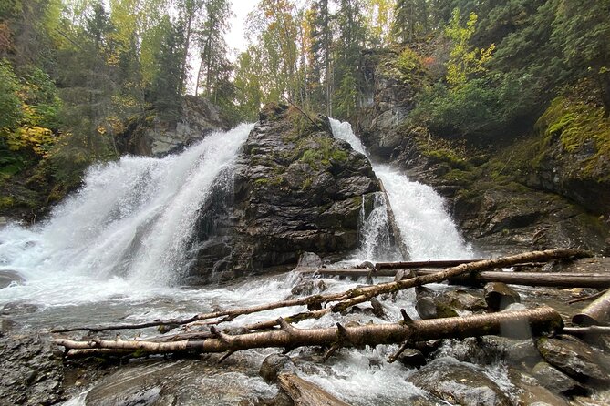 Small-Group Day Hike, Rivers and Forests of Chugach State Park  - Anchorage - Beautiful Scenery