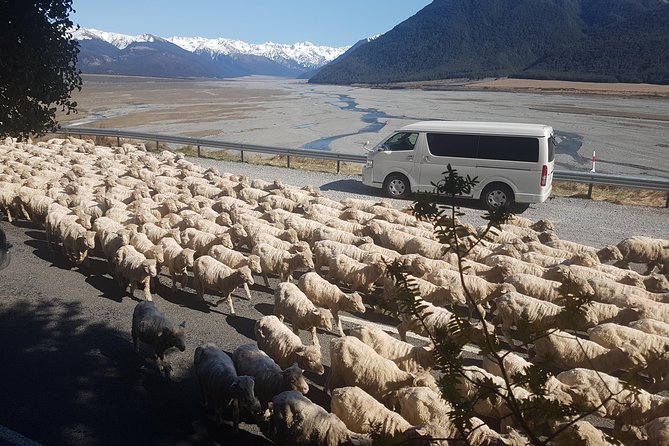 Small-Group Day Tour by Train From Christchurch, Arthurs Pass - Meeting and Pickup Details