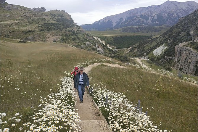 Small-Group Day Tour by Train From Christchurch, Arthurs Pass - Cancellation Policy