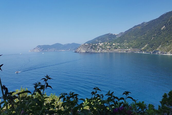 Small Group Day Tour in Cinque Terre and Pisa From Florence - Important Reminders