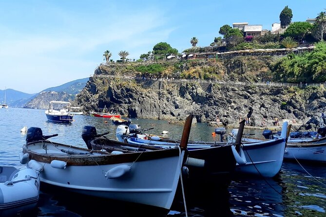 Small Group Day Tour in Cinque Terre and Pisa From Florence - Safety and Health Information