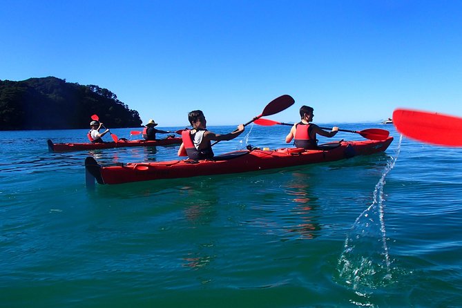Small-Group Day Tour: Kayak and Hike Abel Tasman National Park  - Marahau - Inclusions and Meeting Details