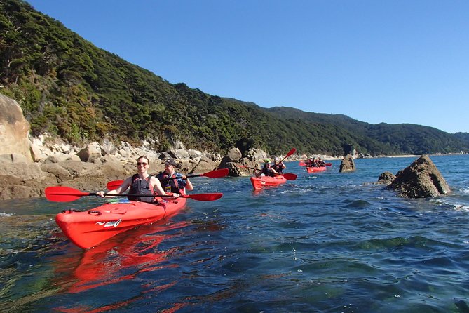 Small-Group Day Tour: Kayak and Hike Abel Tasman National Park  - Marahau - Questions and Support