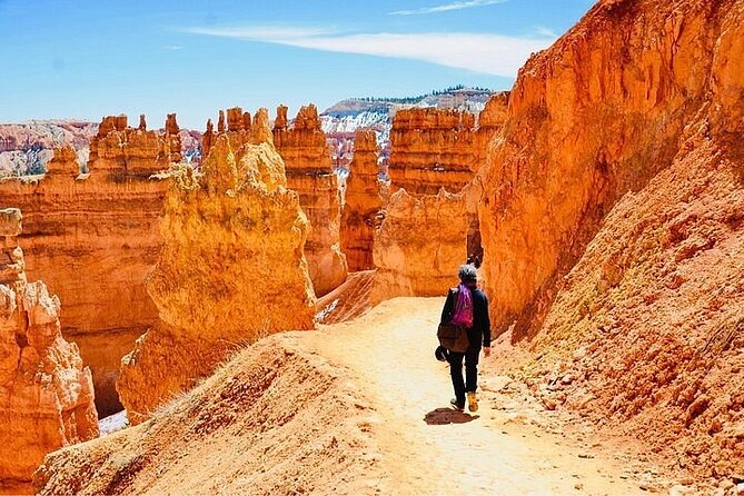 Small Group Day Tour To Explore Bryce Canyon & Zion National Park - Tour Overview