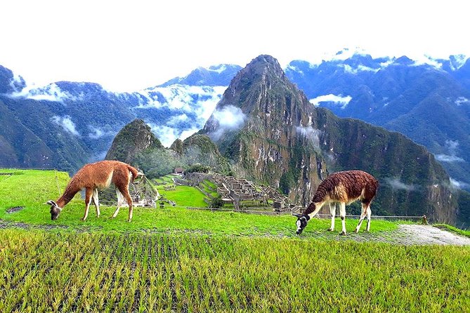 Small-Group Day Tour to Machu Picchu - Tour Details
