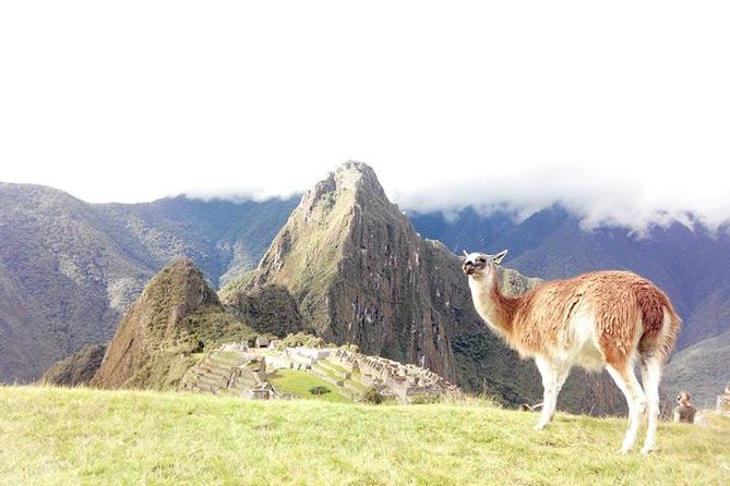 Small-Group Day Tour to Machu Picchu - Pickup and Cancellation Details