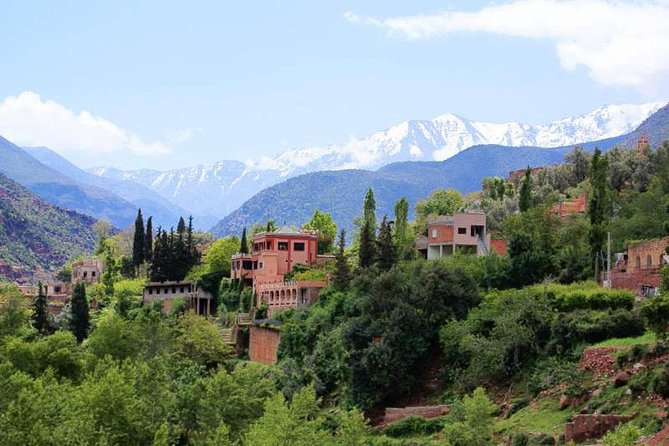 Small Group Day Tour to Ourika Valley From Marrakech - Tour Highlights